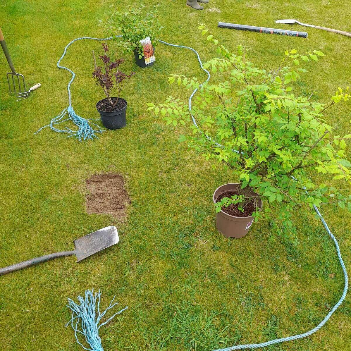 During: new garden border being dug in Billingshurst (1)