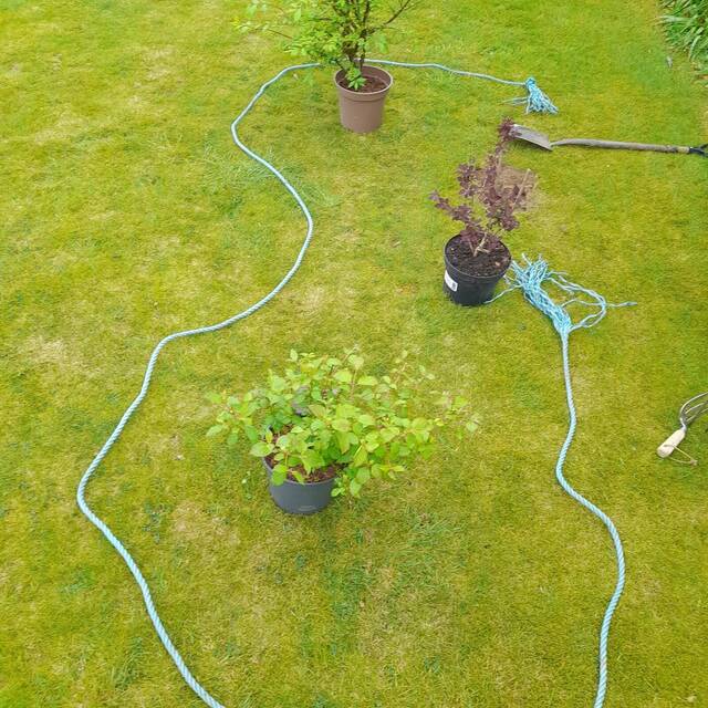 During: new garden border being dug in Billingshurst (2)