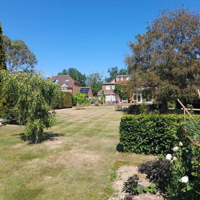 Kitchen garden and roses maintained by Cordreys