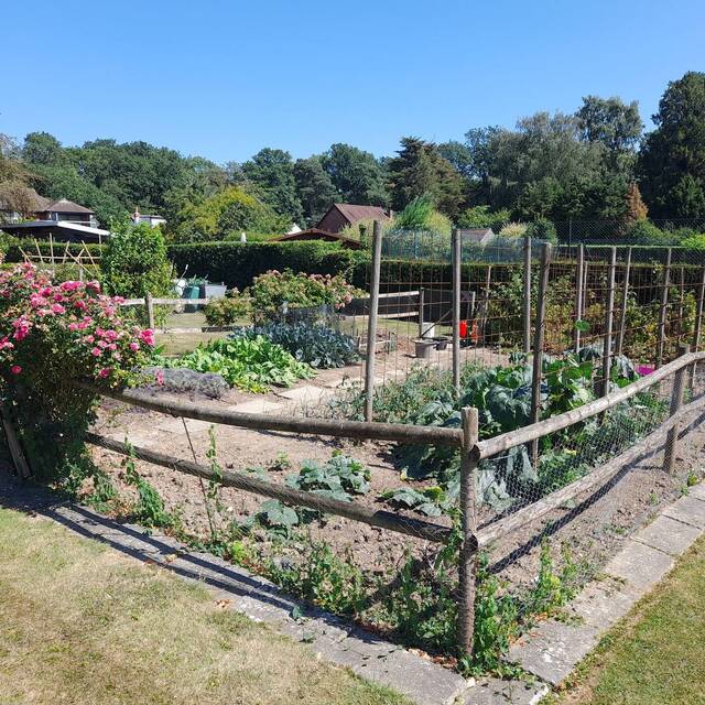 After: large garden in Billingshurst kept by Cordreys (4)