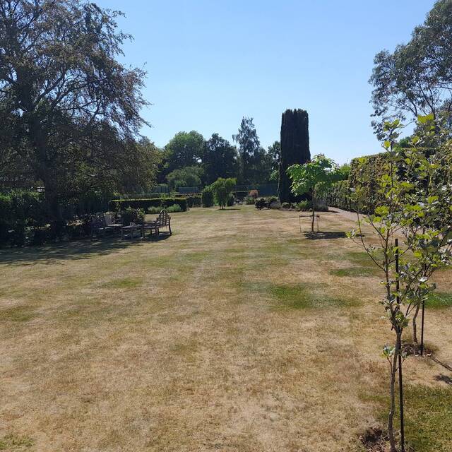 After: large garden in Billingshurst kept by Cordreys (5)