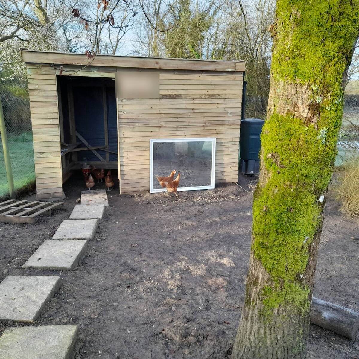 Bespoke timber chicken house built by Cordreys