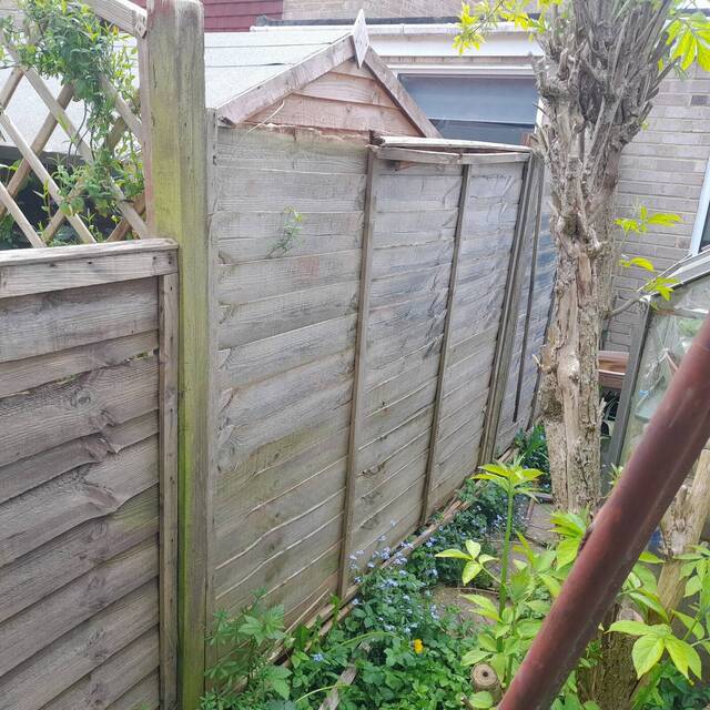 Before: garden fence (1)