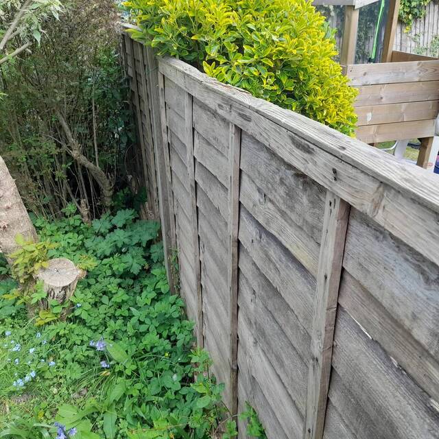 Before: garden fence (2)
