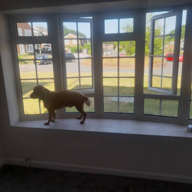 After: lounge of an Airbnb property in Horsham (2)