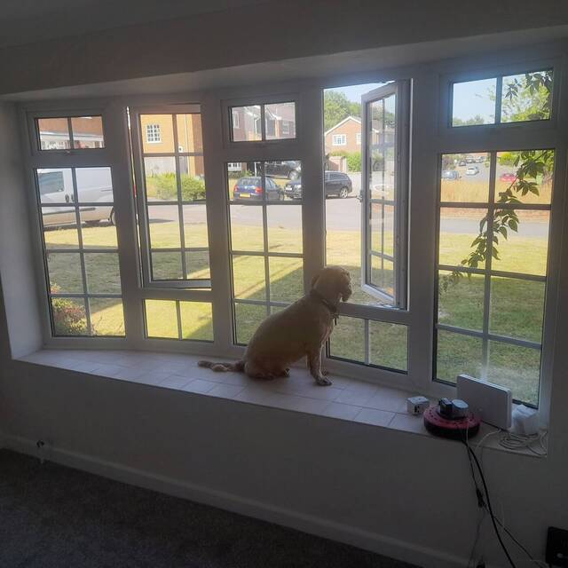 Airbnb lounge in Horsham repainted between guests