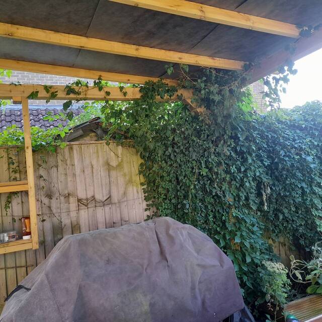 After: covered timber pergola over a patio dining area (4)